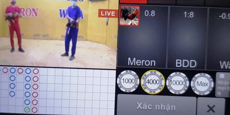 Đá gà GA28 King88 chân thực với camera đa góc và đường truyền Full HD